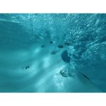 AT510 1P underwater view 10